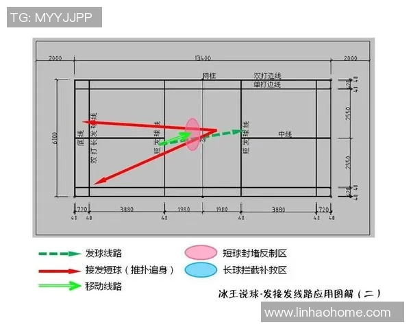 羽毛球女双顶尖组合战术分析与发展趋势 羽毛球女双顶尖组合战术分析与发展趋势