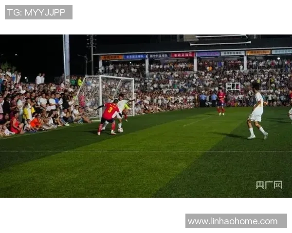 足球比赛观众密度与球队主场表现的相关性研究 足球比赛观众密度与球队主场表现的相关性研究