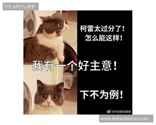 国王赛后采访金句引爆全场笑声 笑翻全场气氛轻松愉快